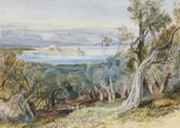 Distant View Of The Citadel From Analipsis, Corfu - view 1