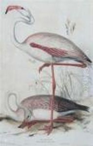 Hullmandel by Edward Lear