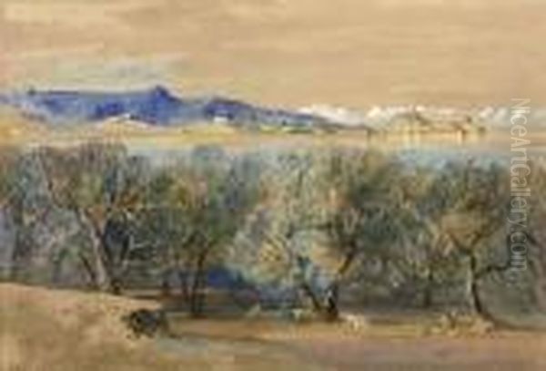 Distant View Of The Citadel, From Analipsis, Corfu - view 1