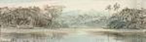 A View From Kandy Railway With Adam's Peak On The Horizon, Ceylon(sri Lanka) by Edward Lear
