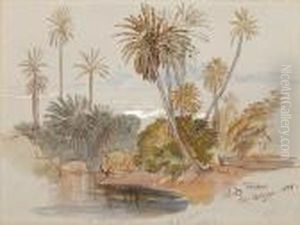 Wadi Feiran, Sinai