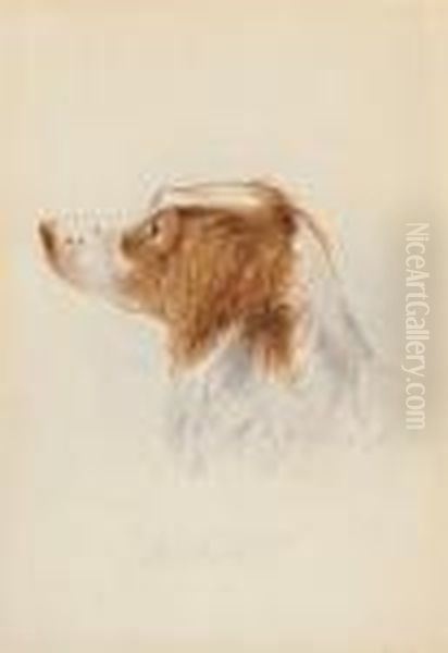 Study Of 'shot' - view 1