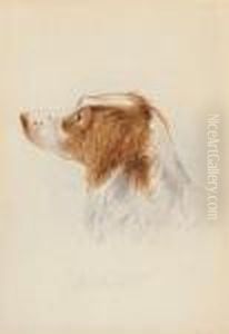Study Of 'shot' by Edward Lear