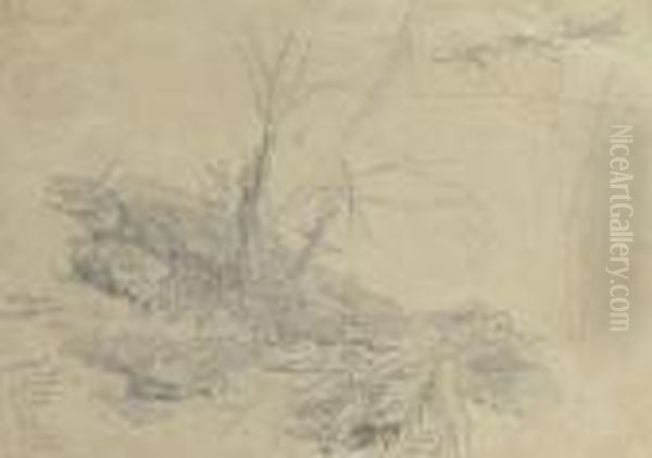A Rocky Slope - view 1