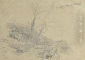 A Rocky Slope by Edward Lear
