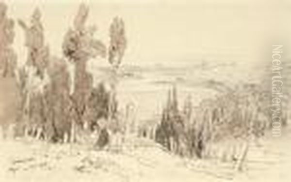 View Of The Turkish Cemetery, Ayoub, Constantinople - view 1
