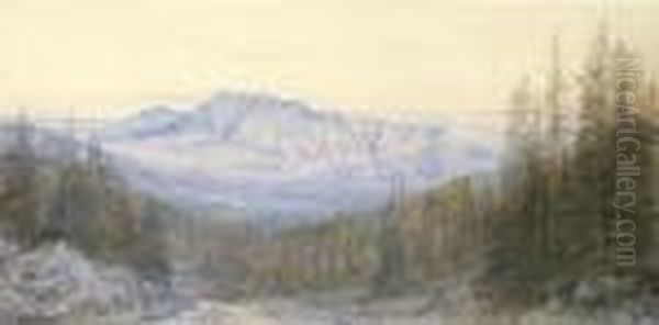 View Of The Apennines At Abetone, Tuscany - view 1