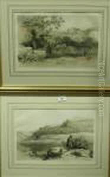 ' Genazzano ' And ' Sambuki ' - view 1