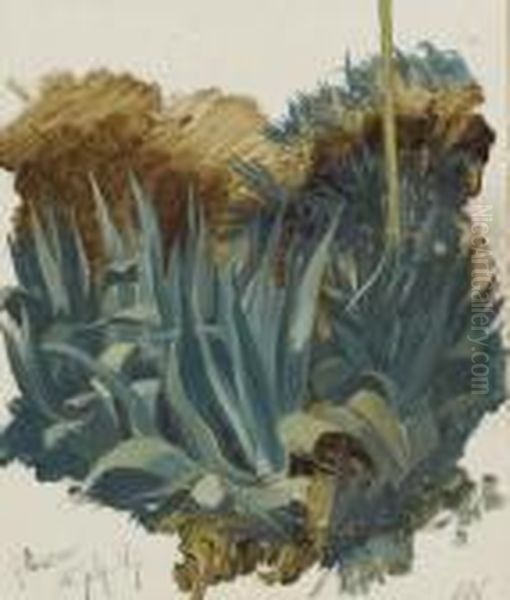 Agave - view 1