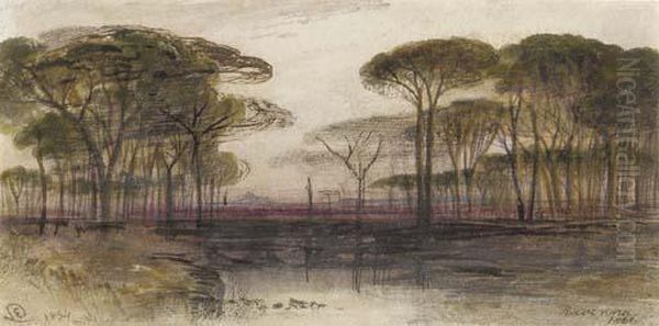 The Pinetum At Ravenna - view 1