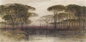 The Pinetum At Ravenna