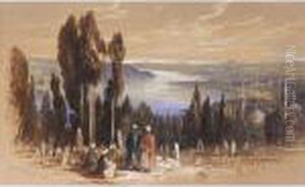 Constantinople From Ayoub - view 1