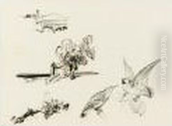 Sketches Of Birds And Buildings - view 1