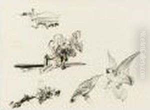 Sketches Of Birds And Buildings by Edward Lear