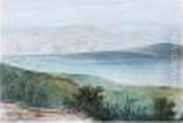 View In The Middle East - view 1