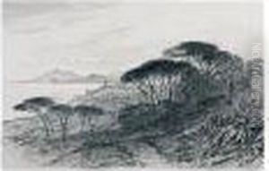 Cannes, Cote D'azur, France by Edward Lear