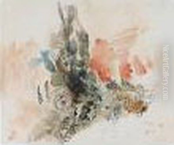 Study Of A Cactus - view 1