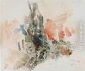 Study Of A Cactus