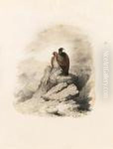 A Pair Of Birds Of Prey On A Rocky Outcrop by Edward Lear