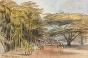 View Of Ratnapura, Ceylon