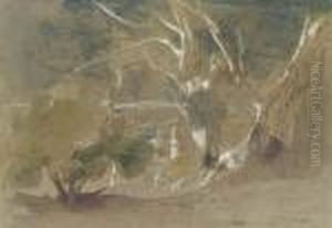 View Of Europoulos, Corfu by Edward Lear
