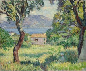 Vue De L'esterel
