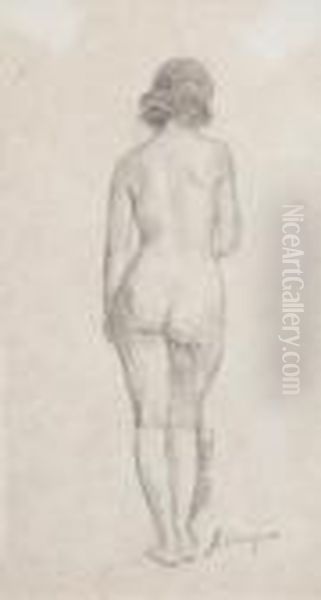 Modele De Dos - view 1