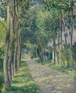 Attelage Sur Une Route Ensoleillee thumbnail