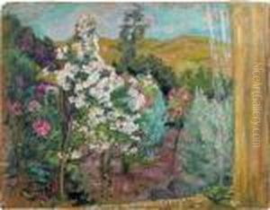 Le Jardin Vu De La Fenetre Le Jardin Vu De La Fenetre