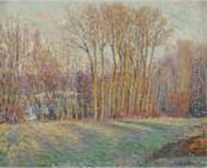 Peupliers En Automne Pres De Chalifert