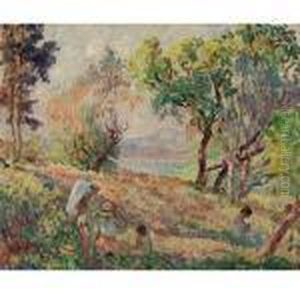 Paysage Paysage