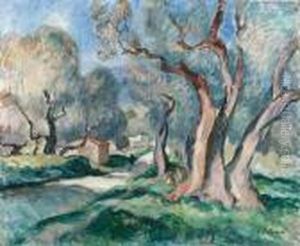 Chemin Sous Les Oliviers