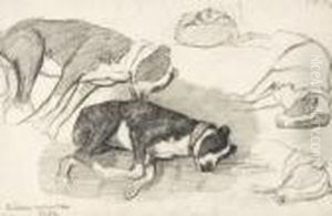 Etude De Chiens Endormis by Albert Lebourg