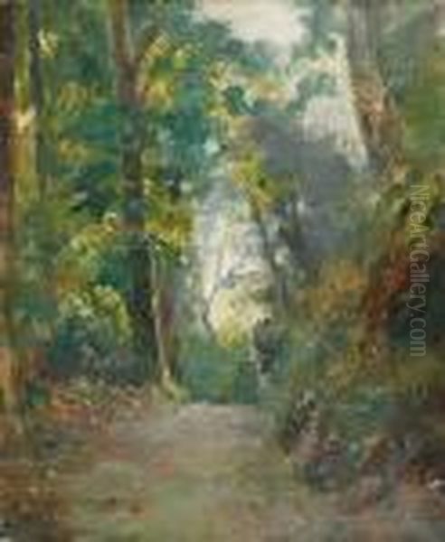 Sous-bois - view 1
