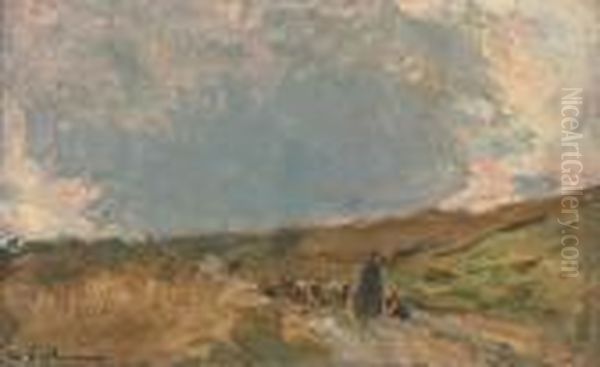 Paysage - view 1