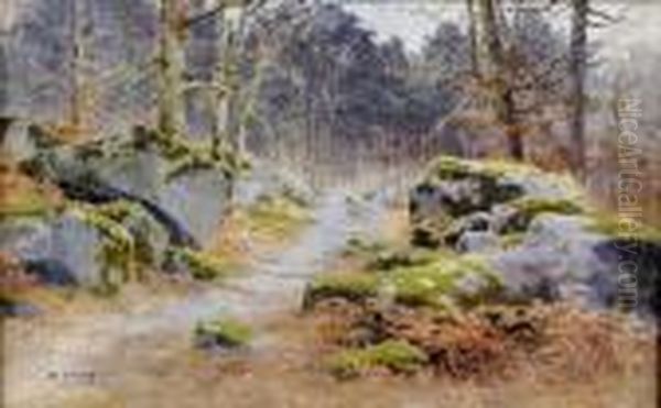 Sous-bois - view 1