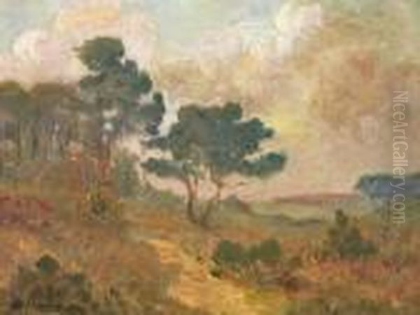 A Landscape With Trees - view 1