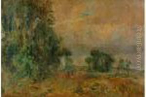 Paysage Paysage