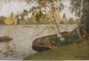 Bords D'etang Aux Bouleaux.