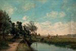 Vaches Au Bord De L'eau