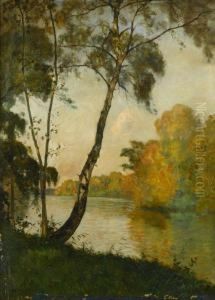 Trees By A River