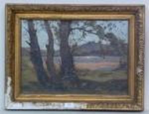Le Paysage A La Riviere A Travers Les Arbres
