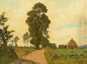 Sommerliche Sudliche Landschaft