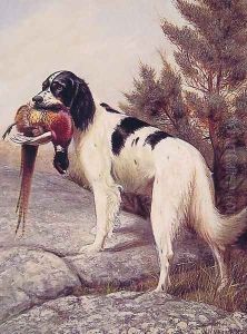 Hunting Dog with Pheasant by Alexander Pope