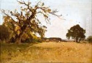 Paysage Anime Au Champs by Paul Lecomte