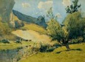 Vaches A La Riviere