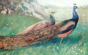 Peacocks by Alexander Pope