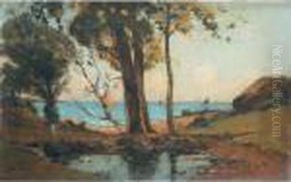 Arbres Et Rocher Au Bord De La Mer - view 1