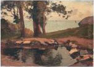 Arbre Et Trou D'eau En Bord De Mer by Paul Lecomte