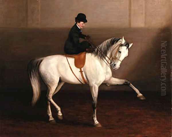 The Morning Lesson, A Lady on her Grey Horse - view 1
